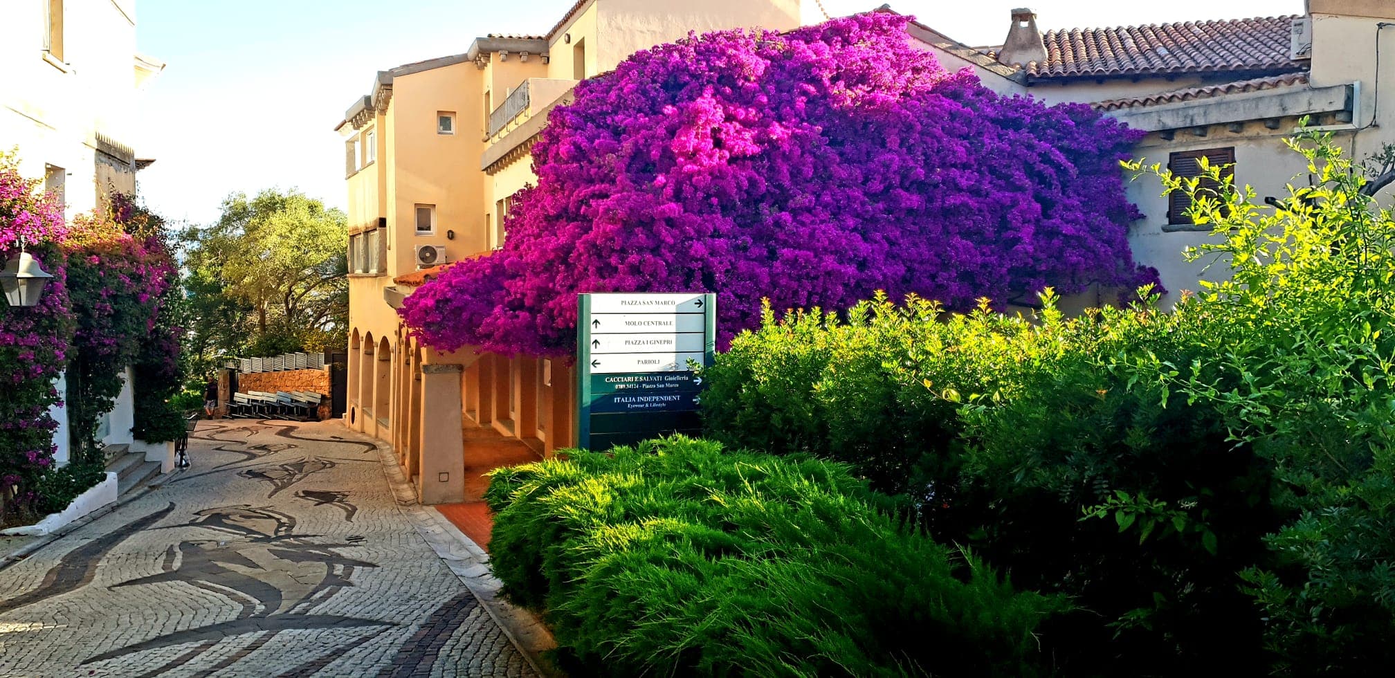 A street in Porto Rotondo, North Sardinia
